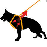 Шлея для собак Ferplast Ферпласт ERGOCOMFORT Р XS з м'якою підкладкою, кольори в асортименті, фото 4