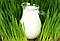 Глечик Bistro Jugs 250 мл, фото 3