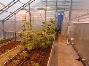 Теплиця Вегетарій 3х4 Преміум 4 мм 20642631