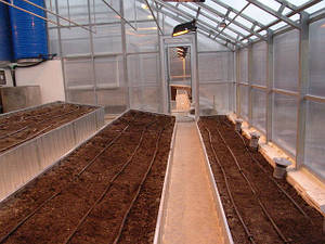 Теплица Вегетарий 3х4 Стандарт 6 мм 20652641