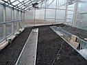 Теплиця Вегетарій 3х6 Стандарт 4 мм, фото 4