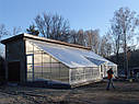 Теплиця Вегетарій 3х6 Стандарт 4 мм, фото 10