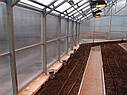 Теплиця Вегетарій 3х6 Преміум 4 мм, фото 8