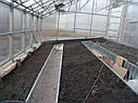 Теплиця Вегетарій 3х6 Преміум 10 мм, фото 5