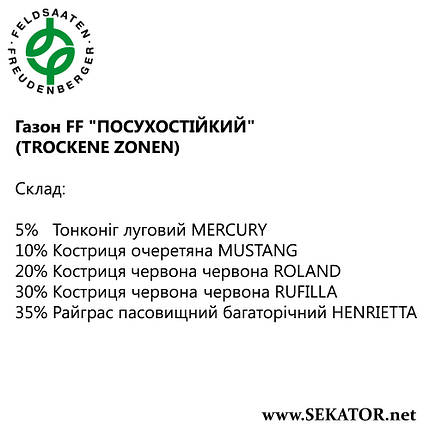 Газон FF Greenfield "Посухостійкий" (Німеччина), фото 2