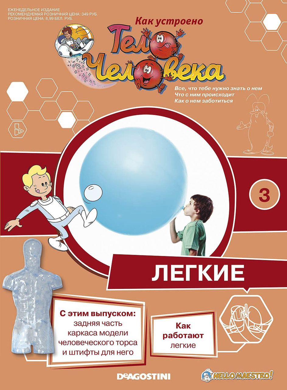 Як Влаштовано Тіло Людини (ДеАгостини) №03, фото 1