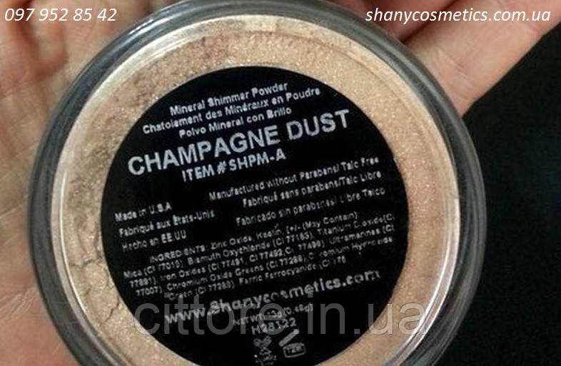 Мінеральна розсипчаста пудра-люмінайзер Shany 13 g — CHAMPAGNE DUST