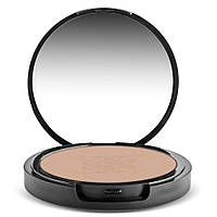 Компактная пудра и основа Shany (2 в 1) Dual Powder Foundation, Oil - Free, Talc Free, Wet/Dry - TRUE BEIGE