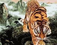 Картина-раскраска Крадущийся тигр (MR-Q1887) 40 х 50 см