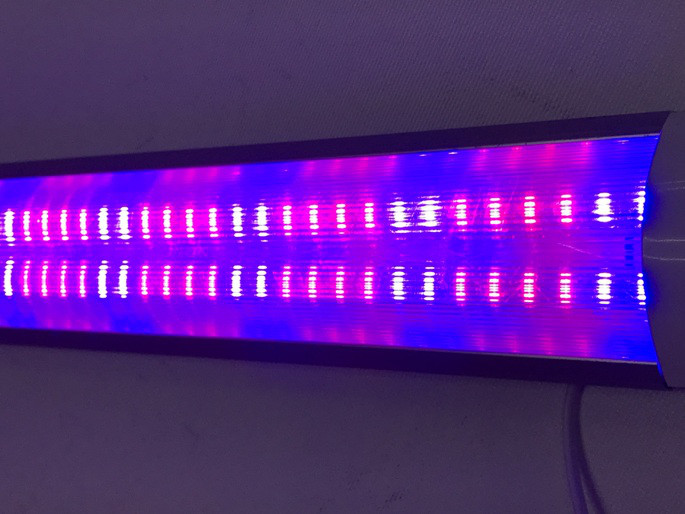 Світлодіодний фітосвітильник SL-32F 32W IP20 лінійний (fito spectrum led) Код.59208 - фото 2 - id-p660182251