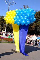 Парад вишиванок 2014 "Полтава вишивана" 17