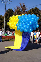 Парад вишиванок 2014 "Полтава вишивана" 18