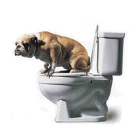 Туалети для собак