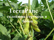 ТестаРапс для запобігання розтріскуванню стручків і бобів, Мінераліс Україна, 10 л