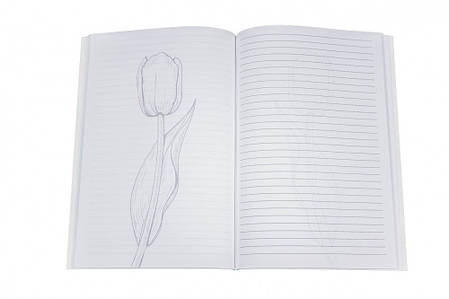 Блокнот Profiplan Lady book Funny, A5, фото 2