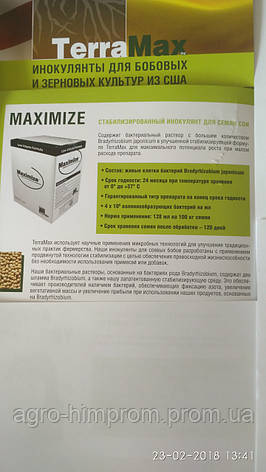 Інокулянт для Сої MAXIMIZE (USA) Інокулянт Максімайз (США), бактерії роду Bradyrhizobium Japonicum 4 млрд/шт, фото 2