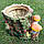 Декоративне кашпо "Пень із грибами" H-20 см, фото 9