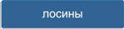 Кнопка - розділ Лосини великих розмірів