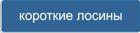 Кнопка - раздел Короткие лосины