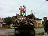 Пиляємо дерева, обрізаємо сад, розчищення чагарників у Харкові та області, фото 3