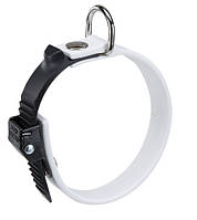 Нашийники для собак