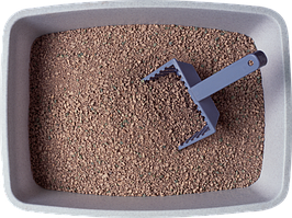 Наповнювачі для туалету кішок