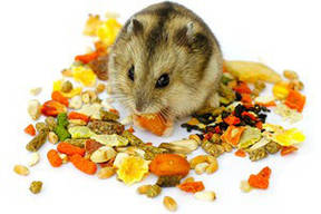 Корм для гризунів