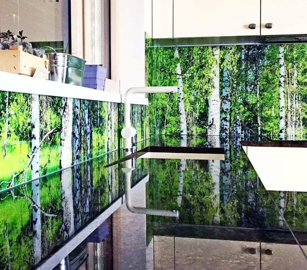 Скіналі із зображенням березового гайку, фото 1