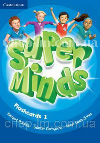 Super Minds 1 Flashcards / Карточки