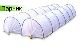 Парник "Пролісок" 8м, фото 2