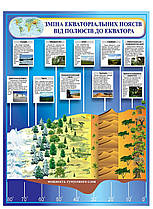 Плакат Екваторіальні пояси
