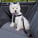 Автомобільний повідець Trixie для собак чорний, фото 2