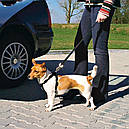 Автомобільний повідець Trixie для собак чорний, фото 3