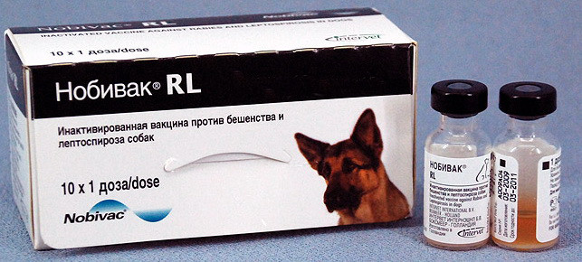 Вакцина Нобіак Nobi-Vac RL (Rabies+Letto) Intervet, фото 1