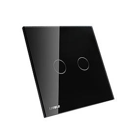 Скло накладка для механізмів Livolo (2 канали)