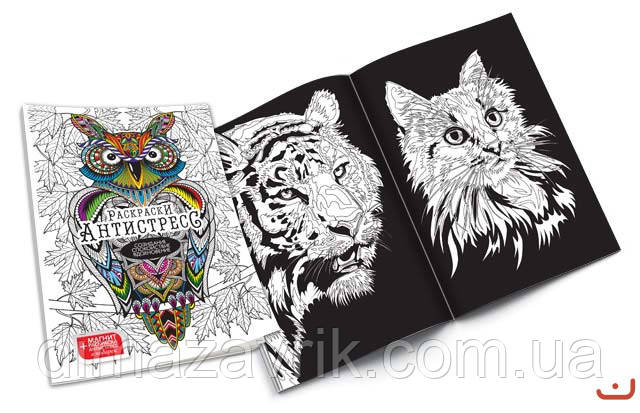 Набір для творчості "Розмальовка Антистрес" Danko Toys, фото 1