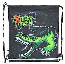 Сумка для взуття Smart SB-01 Extreme green, 40*35, 555262