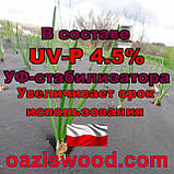 Агроволокно p-50g 3.2*50м чорне UV-P 4.5% Premium-Agro Польща, фото 4