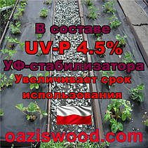 Агроволокно p-50g 1.07*100м чорне UV-P 4.5% Premium-Agro Польща, фото 3