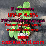Агроволокно p-50g 3.2*50м чорне UV-P 4.5% Premium-Agro Польща, фото 7
