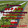 Агроволокно p-50g 1.07*100м чорне UV-P 4.5% Premium-Agro Польща, фото 4