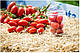 Насіння томату Санміно F1 1000 насіння Syngenta, фото 2