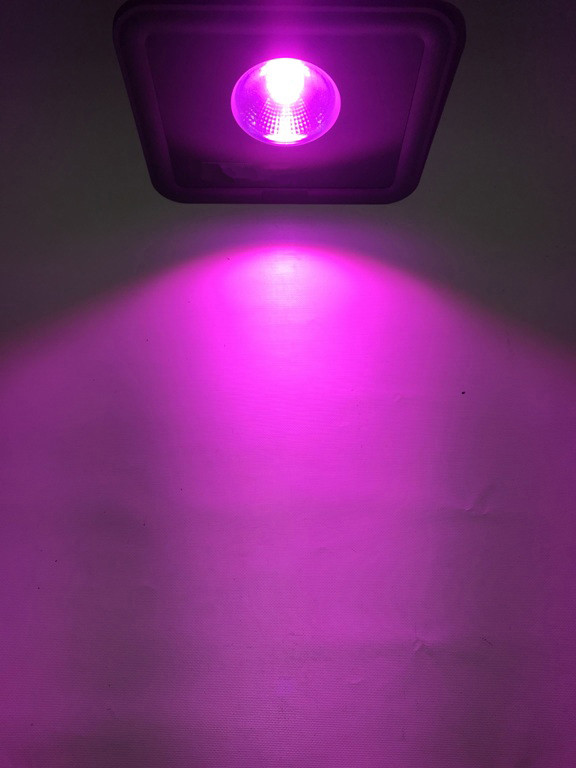 Світлодіодний фітопрожектор PREMIUM SL-50GF 50W IP65 (full spectrum led) Код.59209