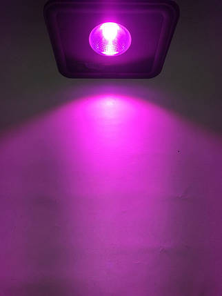 Світлодіодний фітопрожектор PREMIUM SL-50GF 50W IP65 (full spectrum led) Код.59209, фото 1