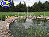 Насос для фонтана AquaNova NM-3500 FOUNTAIN л/год SuperEco, фото 8