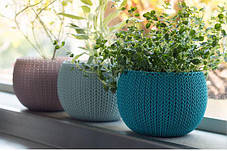 Набір горщиків для квітів Keter, 3 шт., Cozies Herb Pot, фото 3