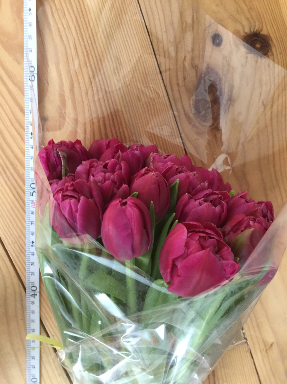 Тюльпаны сорта Династия опт,розница - фото 6 - id-p12219965