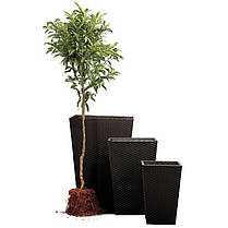 Горщик для квітів Keter Large Rattan Planter 145 л., фото 3