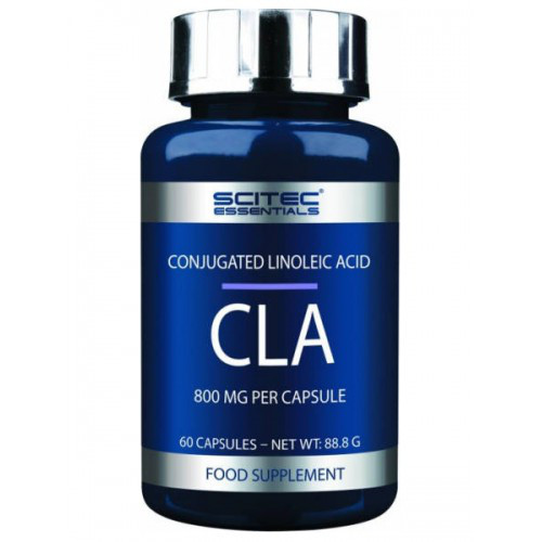 Кон'югована лінолева кислота Scitec Nutrition — CLA (60 капсул)