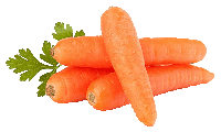 Насіння Моркви пакетовані